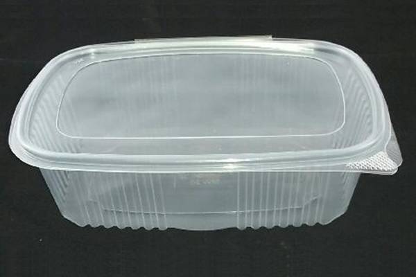 https://www.isovation.com/en/wp-content/uploads/sites/5/2020/09/container-hot-meal-delivery-hinged-lid.jpg